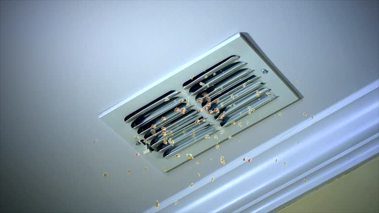 Best Air Vent Cleaning Services  in Coing, AL