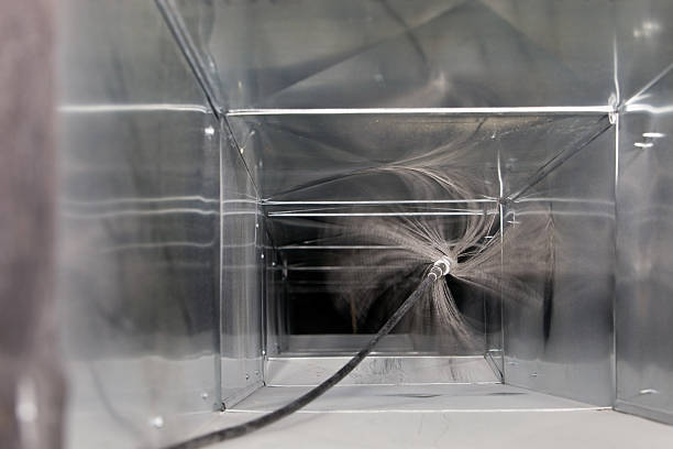 Best Professional Duct Cleaning Services  in Coing, AL