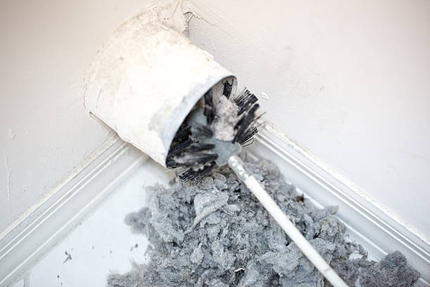 Best Affordable HVAC Duct Cleaning  in Coing, AL